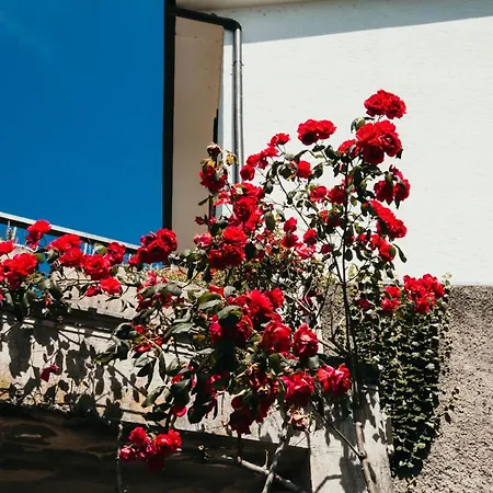 Apartment Miralago Playa - Lakeside L&b Feriolo