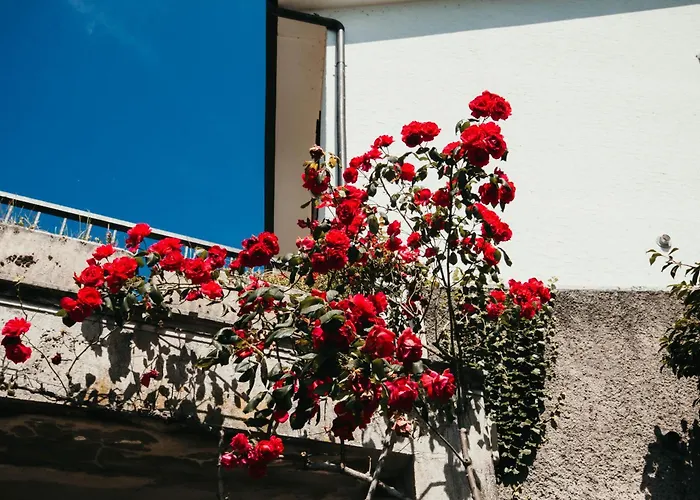 아파트 Miralago Playa - Lakeside L&b Feriolo